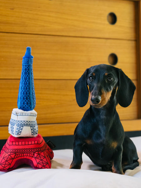 Jouet en peluche pour chien - Tour Eiffel 🥖 - Pet PLAY