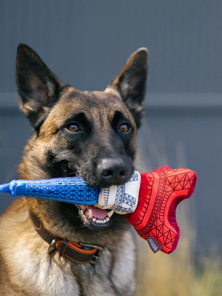 Jouet en peluche pour chien