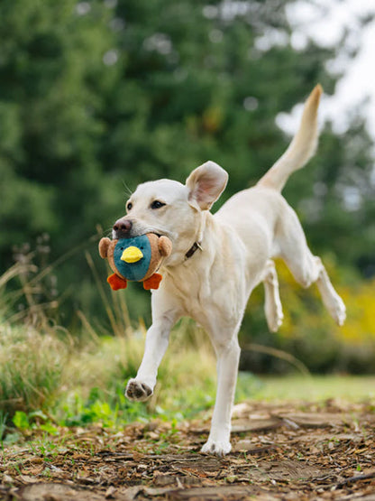Jouet en peluche pour chien