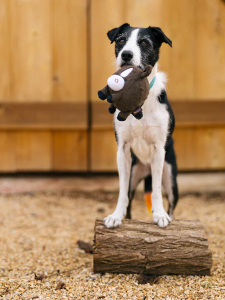 Jouet en peluche pour chien - Barnyard Buddies Cheval 🐴 - Pet PLAY