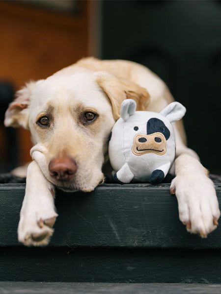 Jouet en peluche pour chien - Barnyard Buddies Vache 🐮 - Pet PLAY