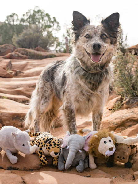 Jouet en peluche pour chien - Leopard 🐆 - Pet PLAY