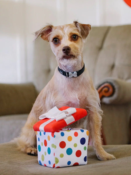 Jouet en peluche pour chien