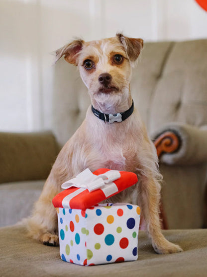 Jouet en peluche pour chien