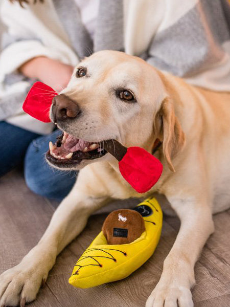 Jouet en peluche pour chien - K9 Kayak 🛶 - Pet PLAY