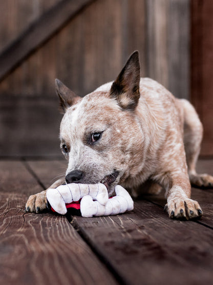 Jouet en peluche pour chien - Howling Haunts - Dents de Dracula 🧛 - Pet PLAY