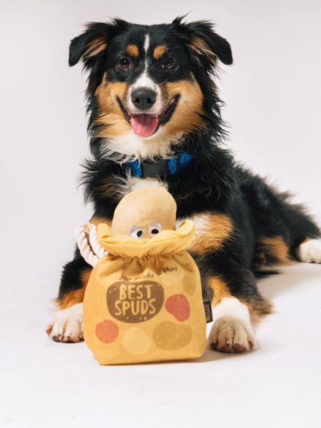 Peluche pour chien