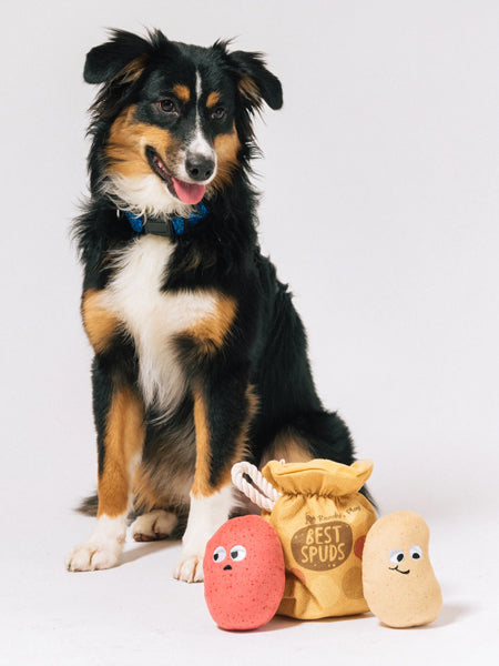 Peluche pour chien