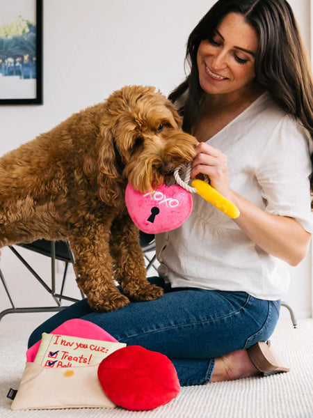 Peluche pour chien - Love Bug - Cadenas 🔒💕 - Pet PLAY