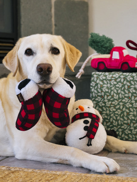 Jouet en peluche pour chien