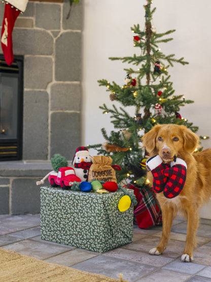 Jouet en peluche pour chien