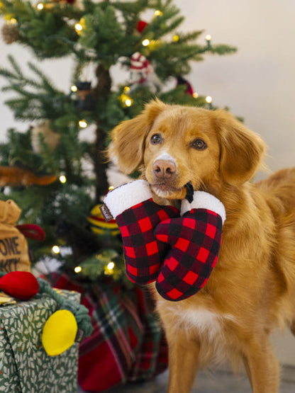 Jouet en peluche pour chien