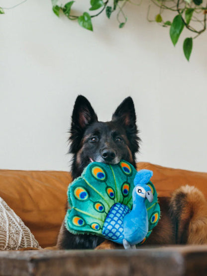 Jouet en peluche pour chien