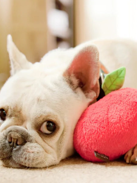 Jouet en peluche pour chien - Pomme 🍎 - Pet PLAY