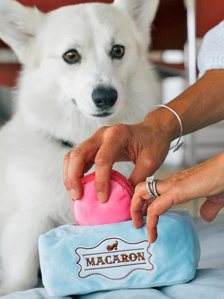 Peluche pour chien