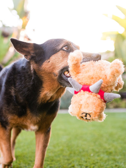 Jouet en peluche pour chien