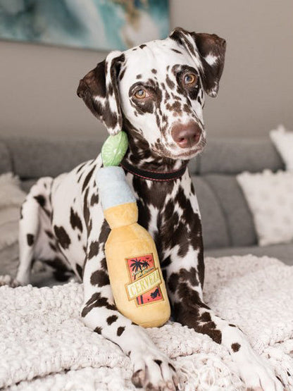 Jouet en peluche pour chien