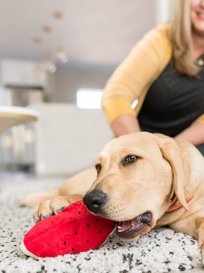 Jouet en peluche pour chien - Pastèque 🍉 - Pet PLAY