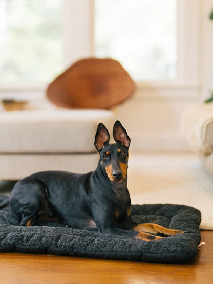 Couchage pour chien - Chill Pad Canyon Noir - Pet PLAY
