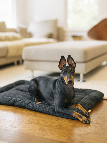 Couchage pour chien - Chill Pad Canyon Noir - Pet PLAY