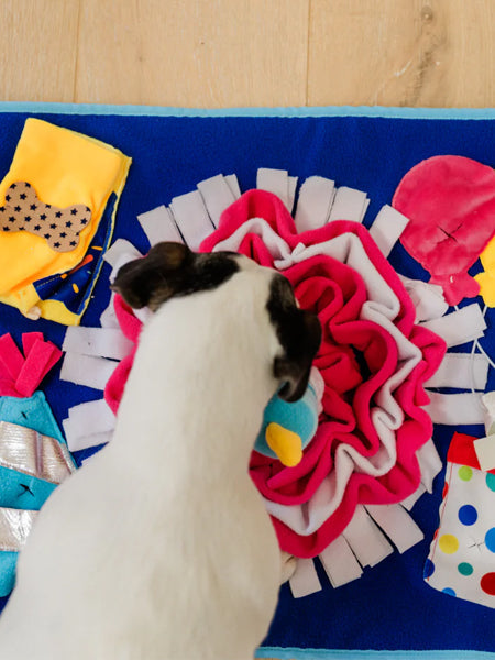 Grand Tapis de fouille pour chien