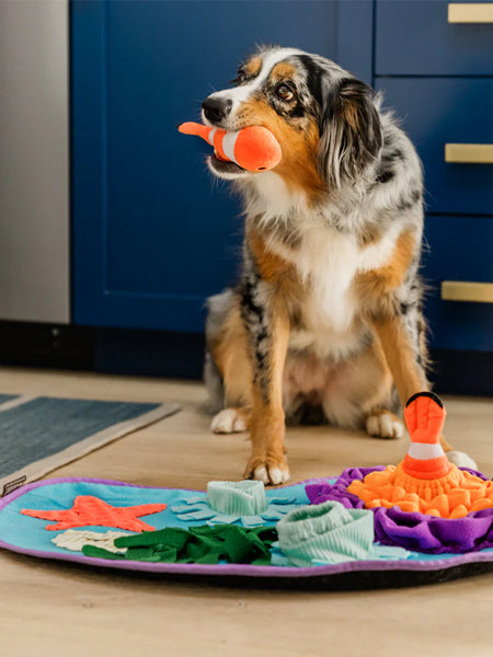 Grand Tapis de fouille pour chien - Océan 🪸 - Pet PLAY