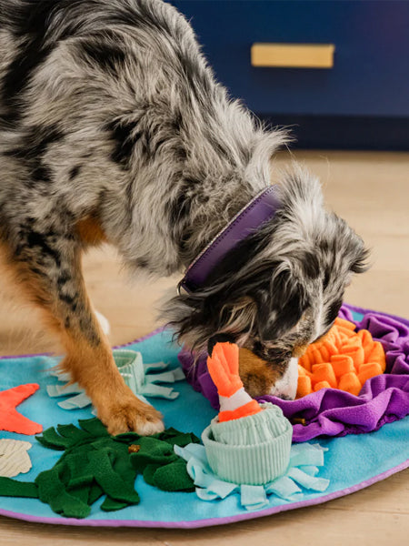 Grand Tapis de fouille pour chien - Océan 🪸 - Pet PLAY