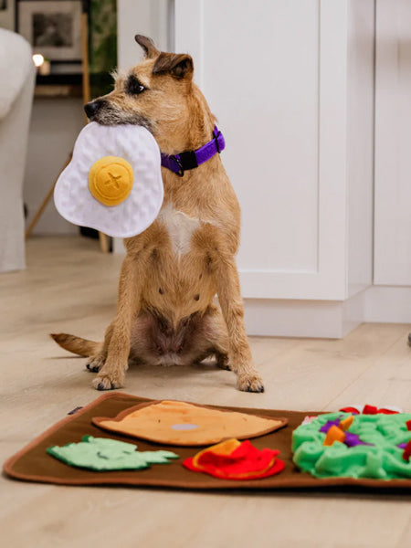 Grand Tapis de fouille pour chien - Brunch 🍳 - Pet PLAY