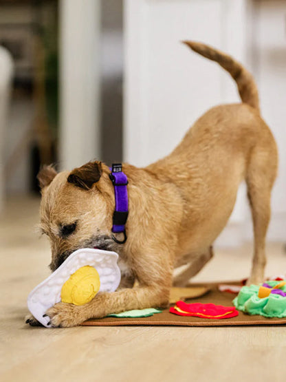 Grand Tapis de fouille pour chien - Brunch 🍳 - Pet PLAY