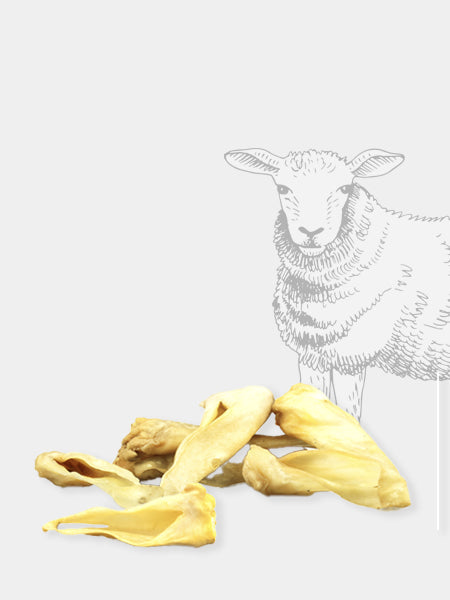 Friandise de mastication - Oreille d'agneau - Pets Best