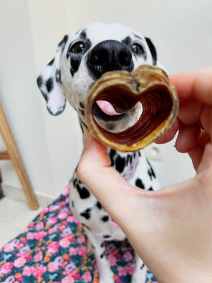 Friandise de mastication pour chien