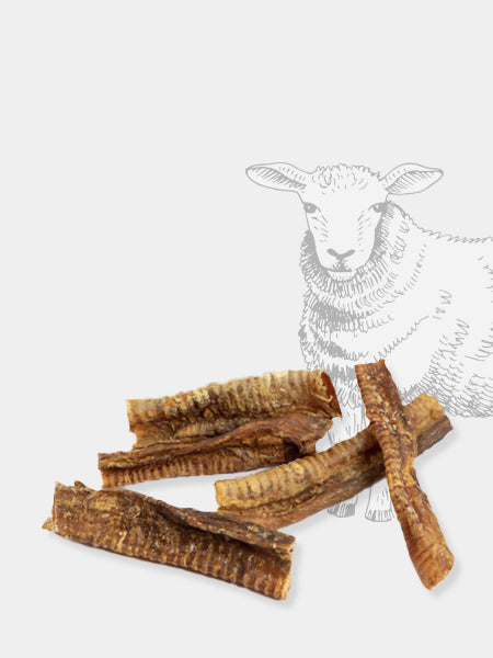 Friandises pour chien - Trachée d'Agneau à macher