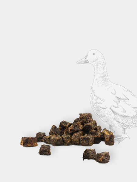Friandises naturelles d'éducation pour chien - Canard