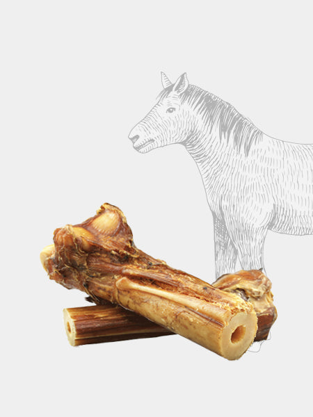 Friandise à mâcher pour chien