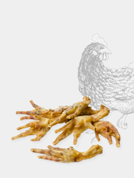 Friandises pour chien - Pattes de Poulet séchées