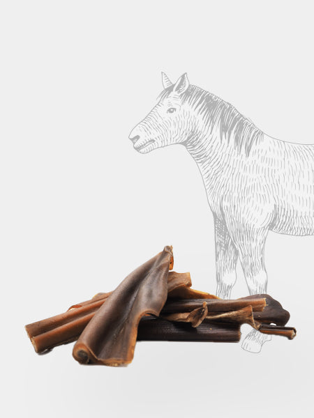 Friandise de mastication pour chien - Peau de Cheval 🐎