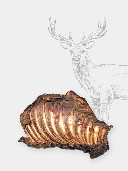Friandise de mastication pour chien - Ribs de cerf 🦌 - Pets Best