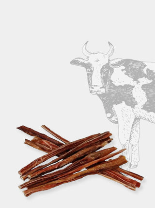 Friandise de mastication pour chien - spaghetti de bœuf