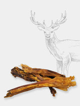 Friandise à mâcher pour chien