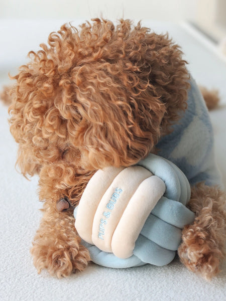 Jouet d'occupation pour chien - Snuffle Knot 🧶 - Pups & Bubs