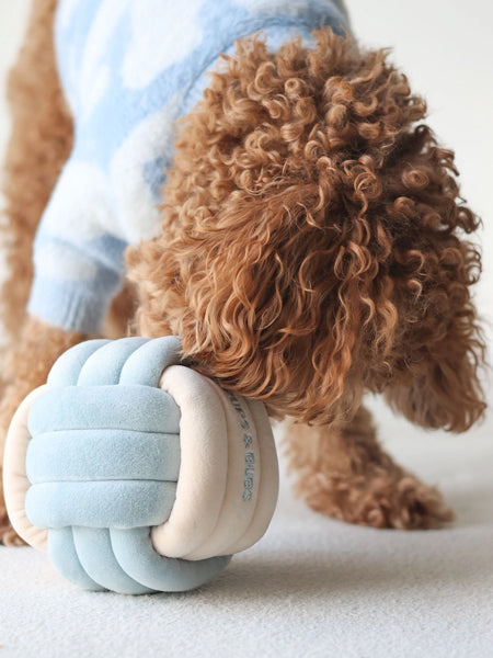 Jouet d'occupation pour chien - Snuffle Knot 🧶 - Pups & Bubs