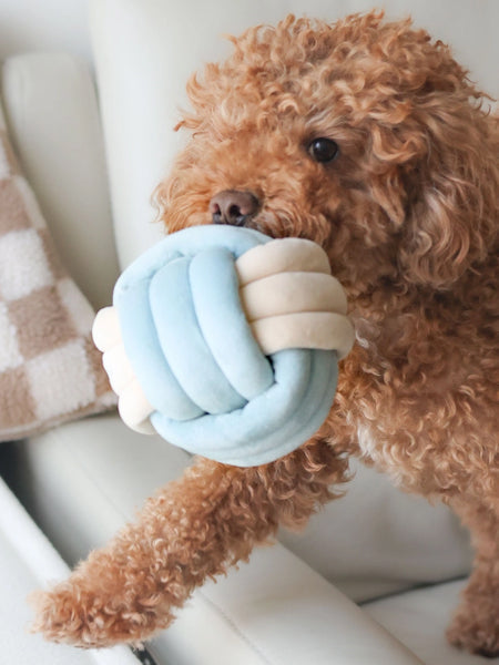 Jouet d'occupation pour chien - Snuffle Knot 🧶 - Pups & Bubs