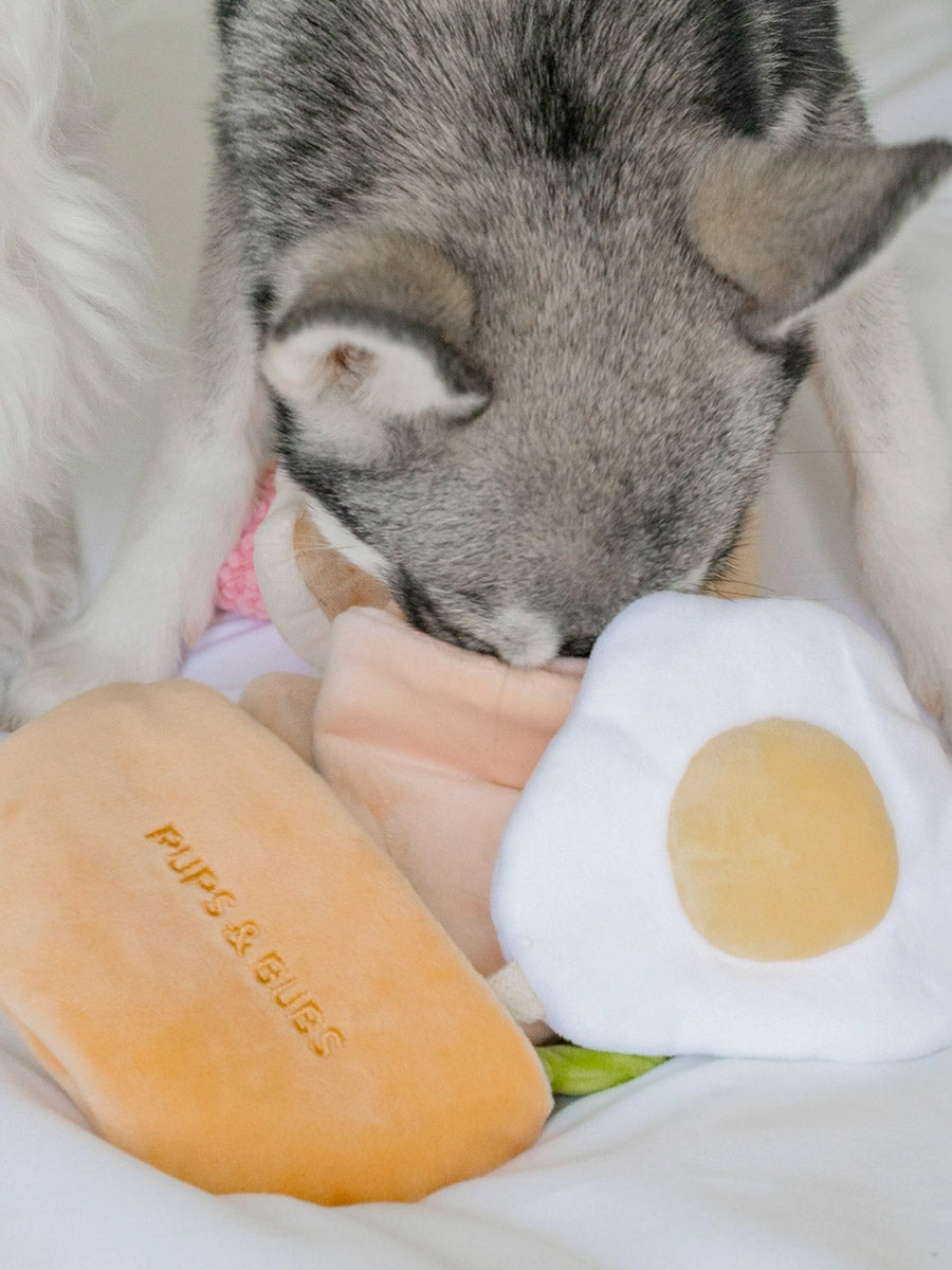 Jouet d'occupation pour chien - Pita 🥙 - Pups & Bubs
