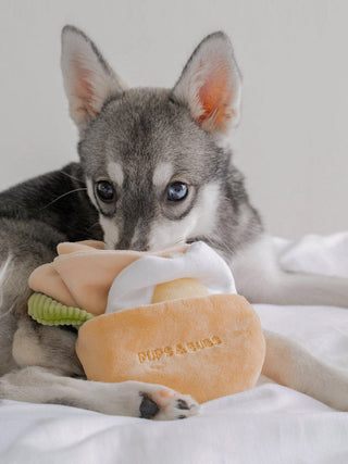 Jouet d'occupation pour chien