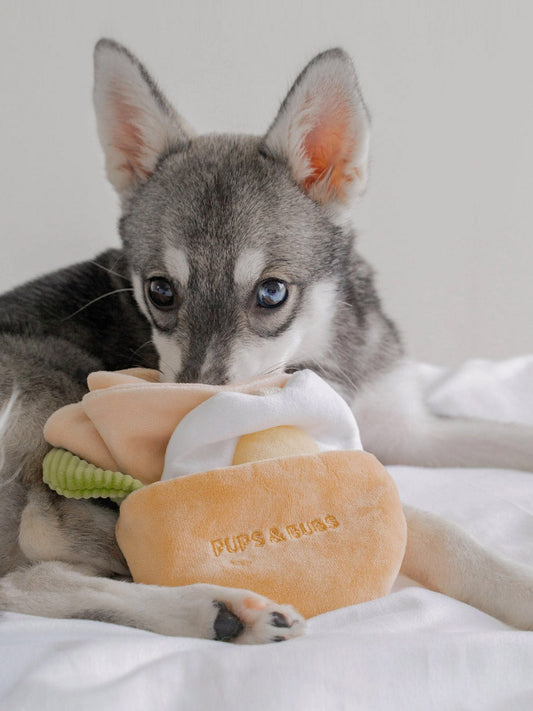 Jouet d'occupation pour chien - Pita 🥙 - Pups & Bubs