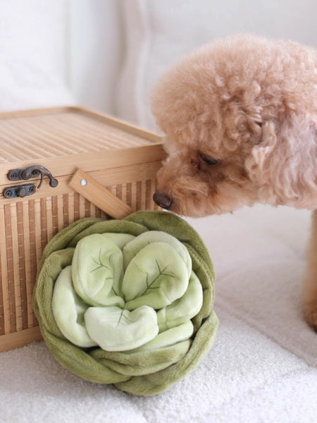 Jouet d'occupation pour chien - Chou 🥬 - Pups & Bubs