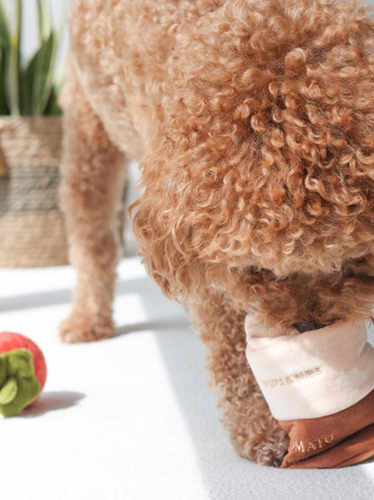 Jouet d'occupation pour chien - Sauce Tomate 🥫🍅 - Pups & Bubs