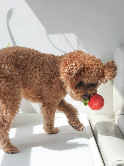 Jouet d'occupation pour chien - Sauce Tomate 🥫🍅 - Pups & Bubs