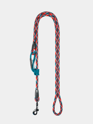 Laisse pour chien extensible en corde
