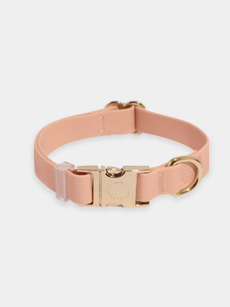 Collier waterproof Cloud pour chien - Chai - Shop Sunny Tails